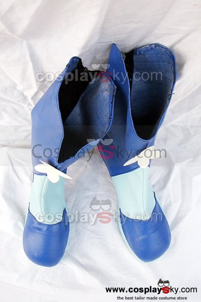 Smile Precure! Pretty Cure Cure Aqua Cosplay Boots